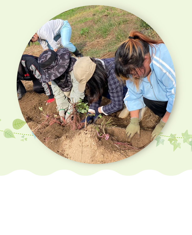 一般社団法人かもみ~る